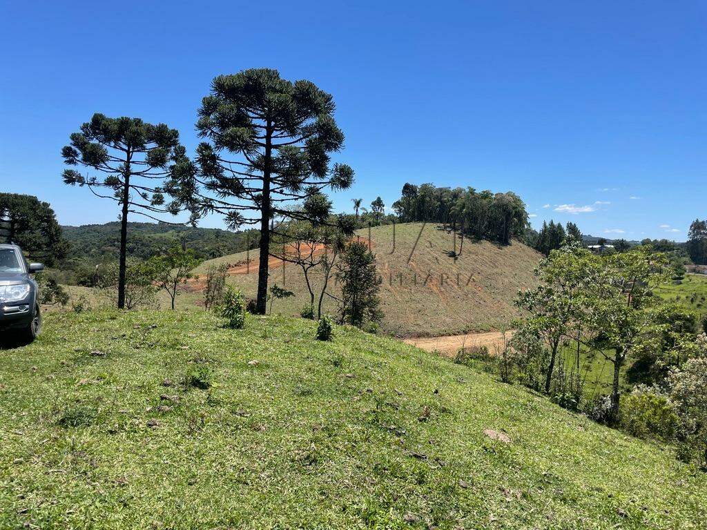 Imagem Terreno a venda no bairro Rio Vermelho na divida entre Corupá e Campo Alegre