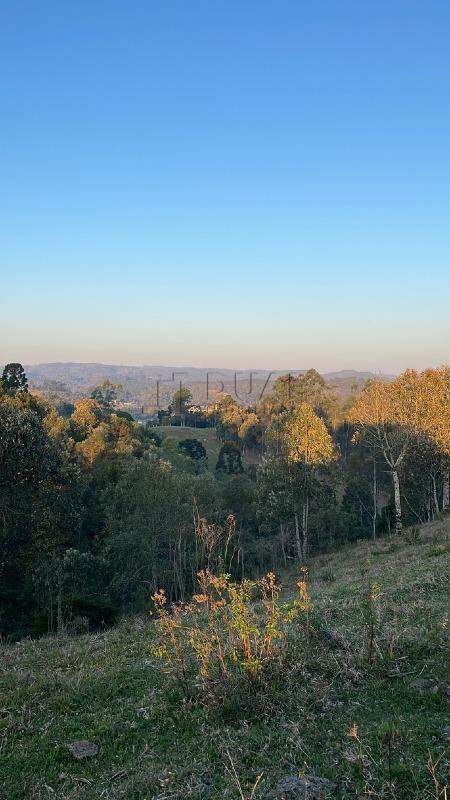 Imagem Terreno a venda no bairro Rio Vermelho na divida entre Corupá e Campo Alegre