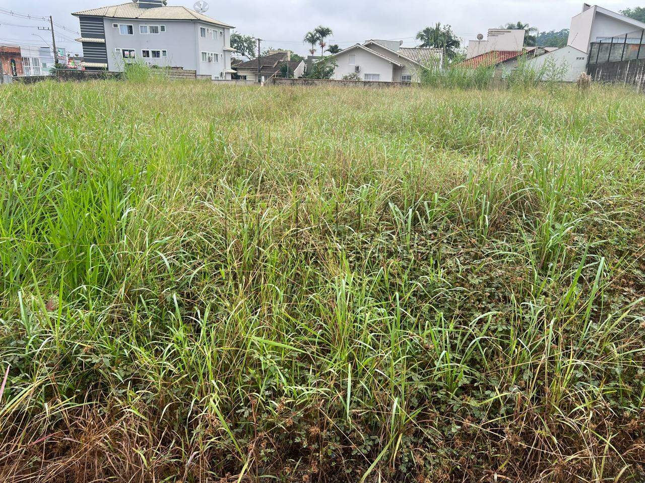 Terreno / Lote à venda, Amizade - Jaraguá do Sul/SC