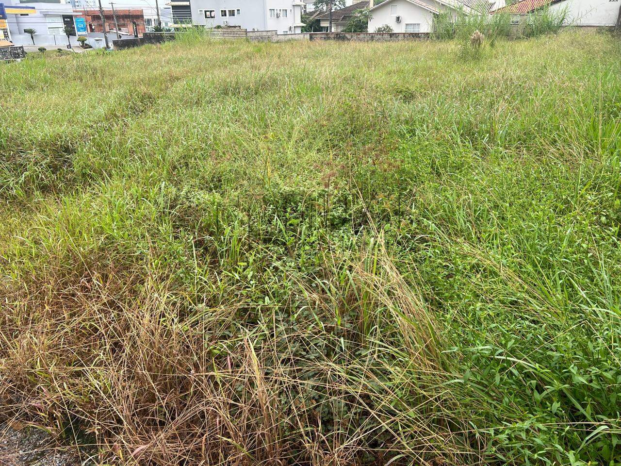 Imagem Terreno / Lote à venda, Amizade - Jaraguá do Sul/SC