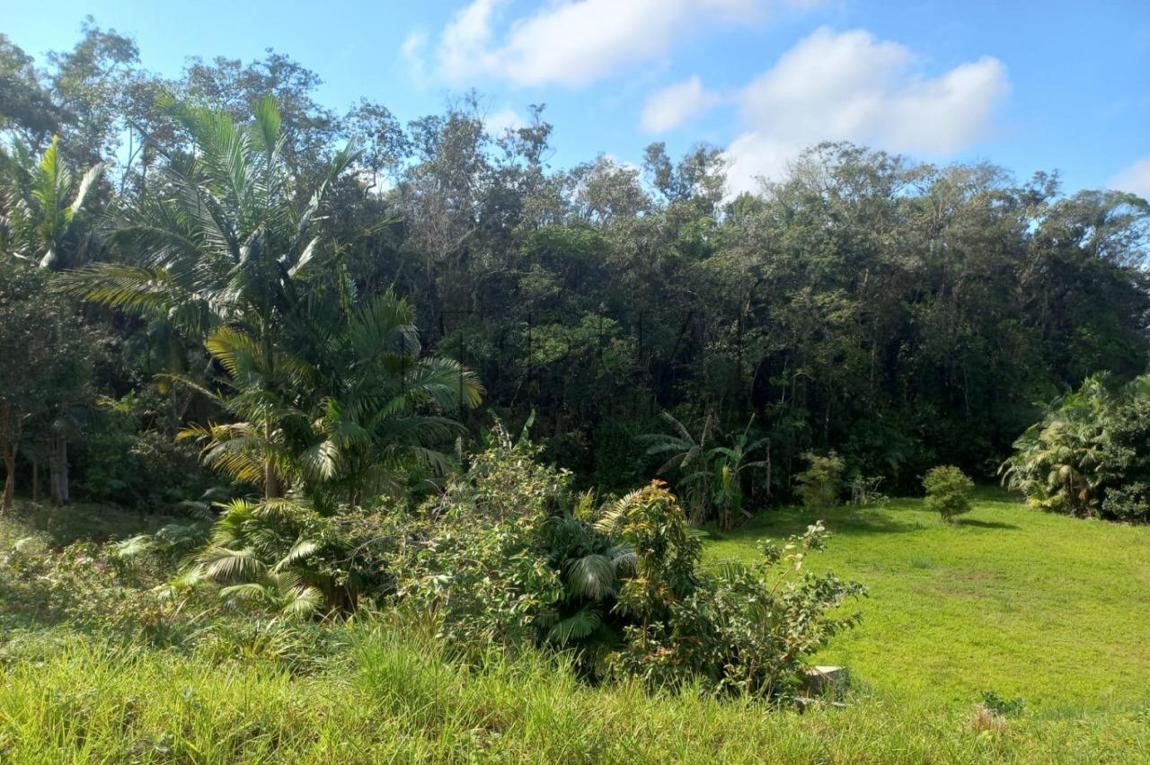 Imagem Casa com terreno de 6 mil m² + terreno ao lado de 5 mil m² a Venda em Guaramirim