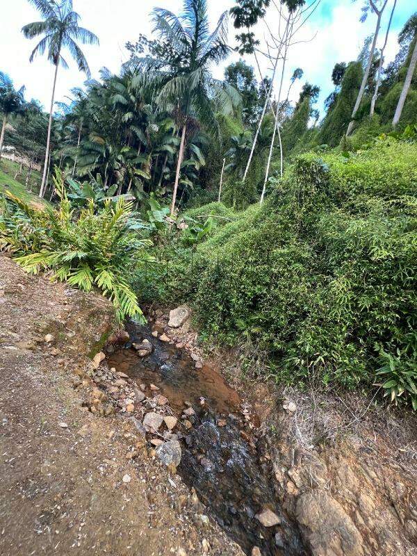 Imagem Chácara / Sítio em localização privilegiada no bairro Barra do Rio Cerro em Jaraguá do Sul