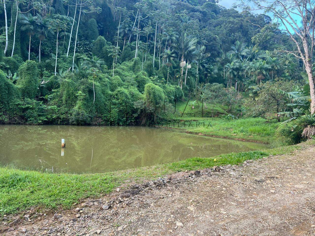 Imagem Chácara / Sítio em localização privilegiada no bairro Barra do Rio Cerro em Jaraguá do Sul