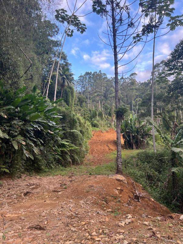 Imagem Chácara / Sítio em localização privilegiada no bairro Barra do Rio Cerro em Jaraguá do Sul