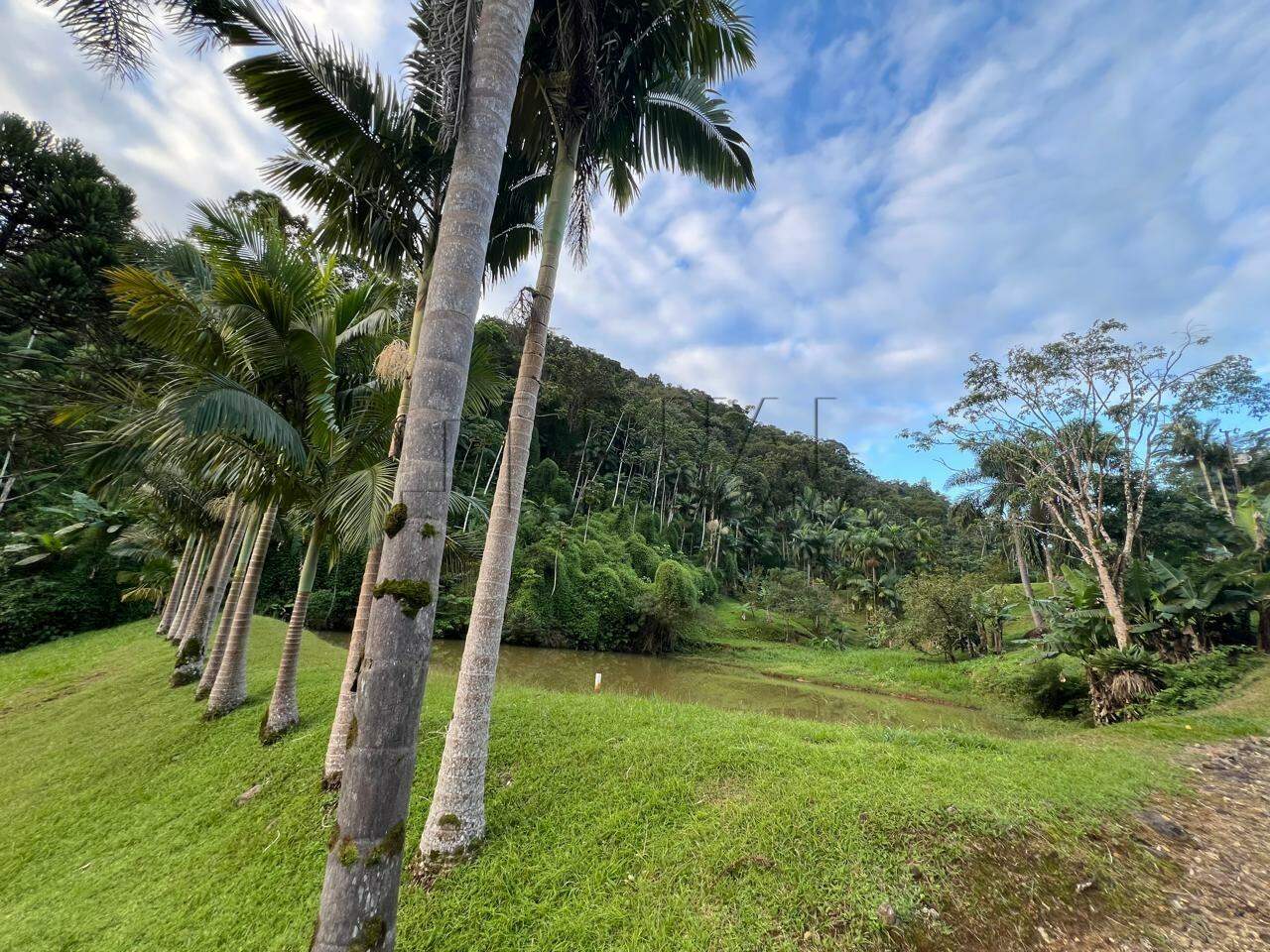 Imagem Chácara / Sítio em localização privilegiada no bairro Barra do Rio Cerro em Jaraguá do Sul