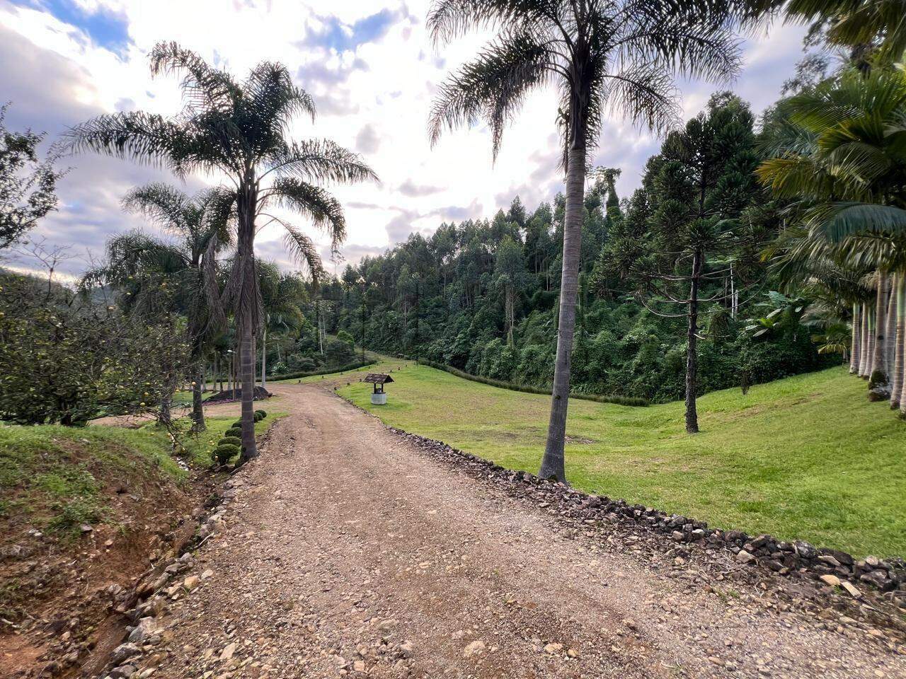 Imagem Chácara / Sítio em localização privilegiada no bairro Barra do Rio Cerro em Jaraguá do Sul