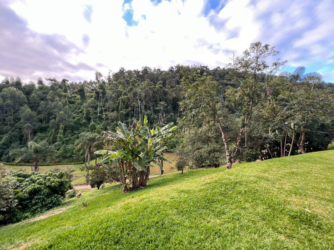 Chácara / Sítio em localização privilegiada no bairro Barra do Rio Cerro em Jaraguá do Sul