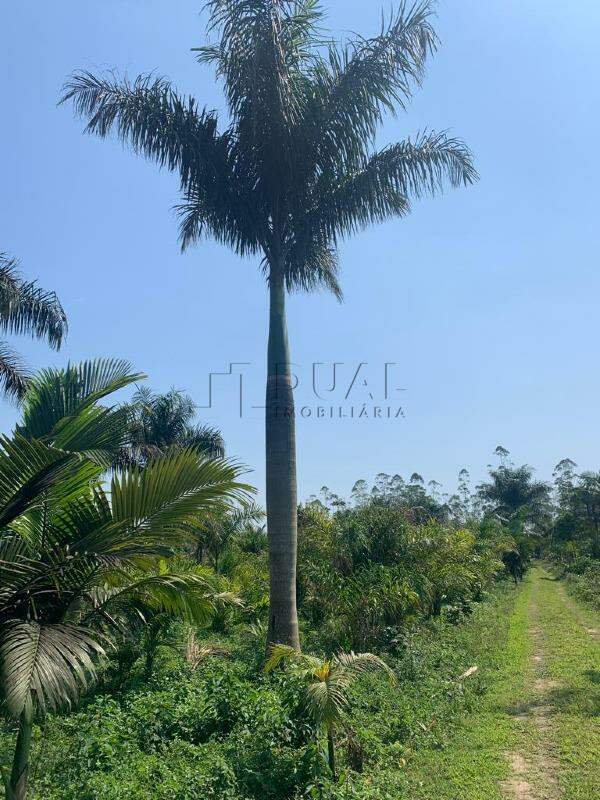 Imagem Terreno com 80.017 m² à venda em Guaramirim - SC