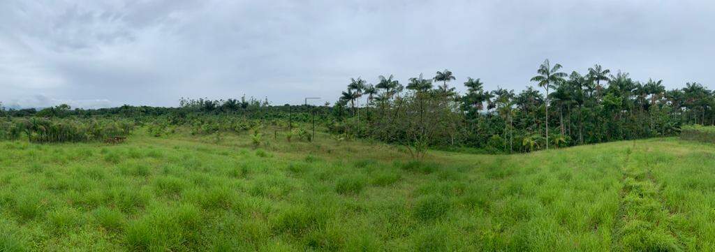 Terreno com 80.017 m² à venda em Guaramirim - SC