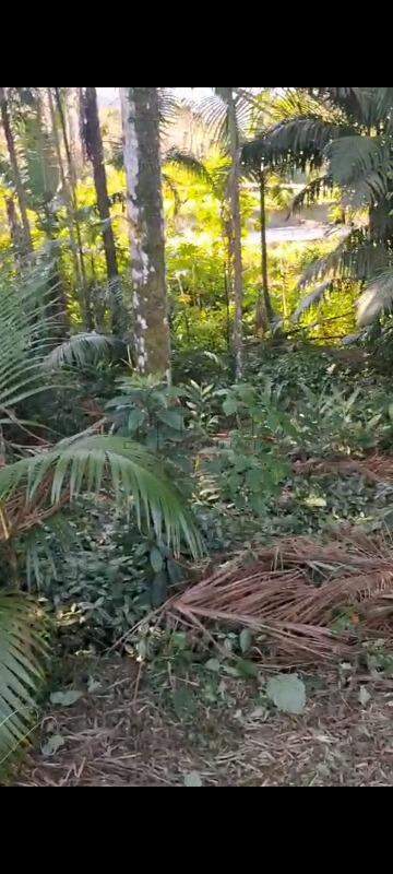 Imagem Terreno em localização privilegiada no bairro Santa Luzia