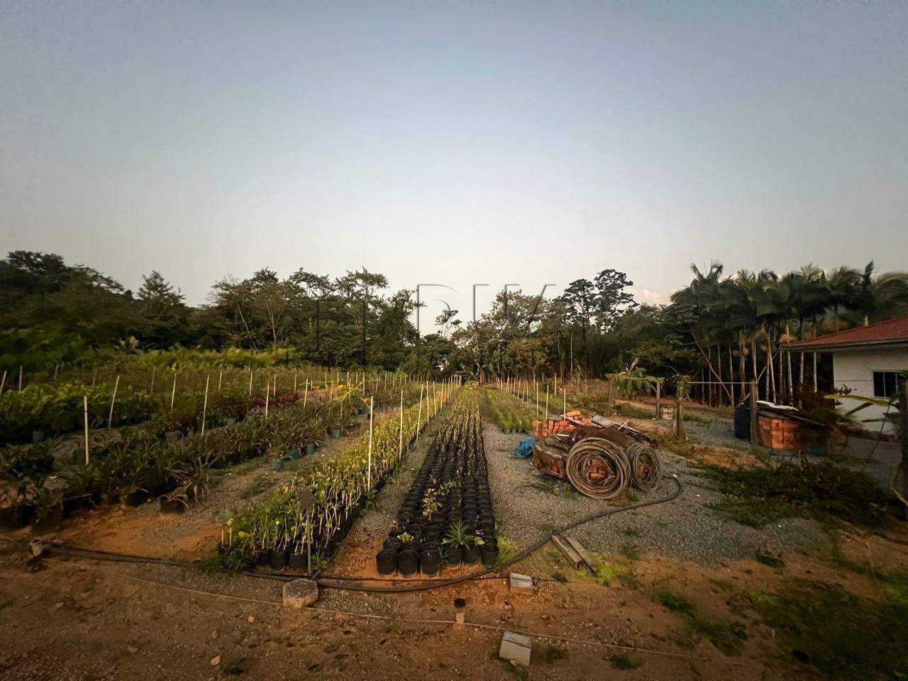 Imagem Terreno / Lote à venda, João Pessoa - Jaraguá do Sul/SC