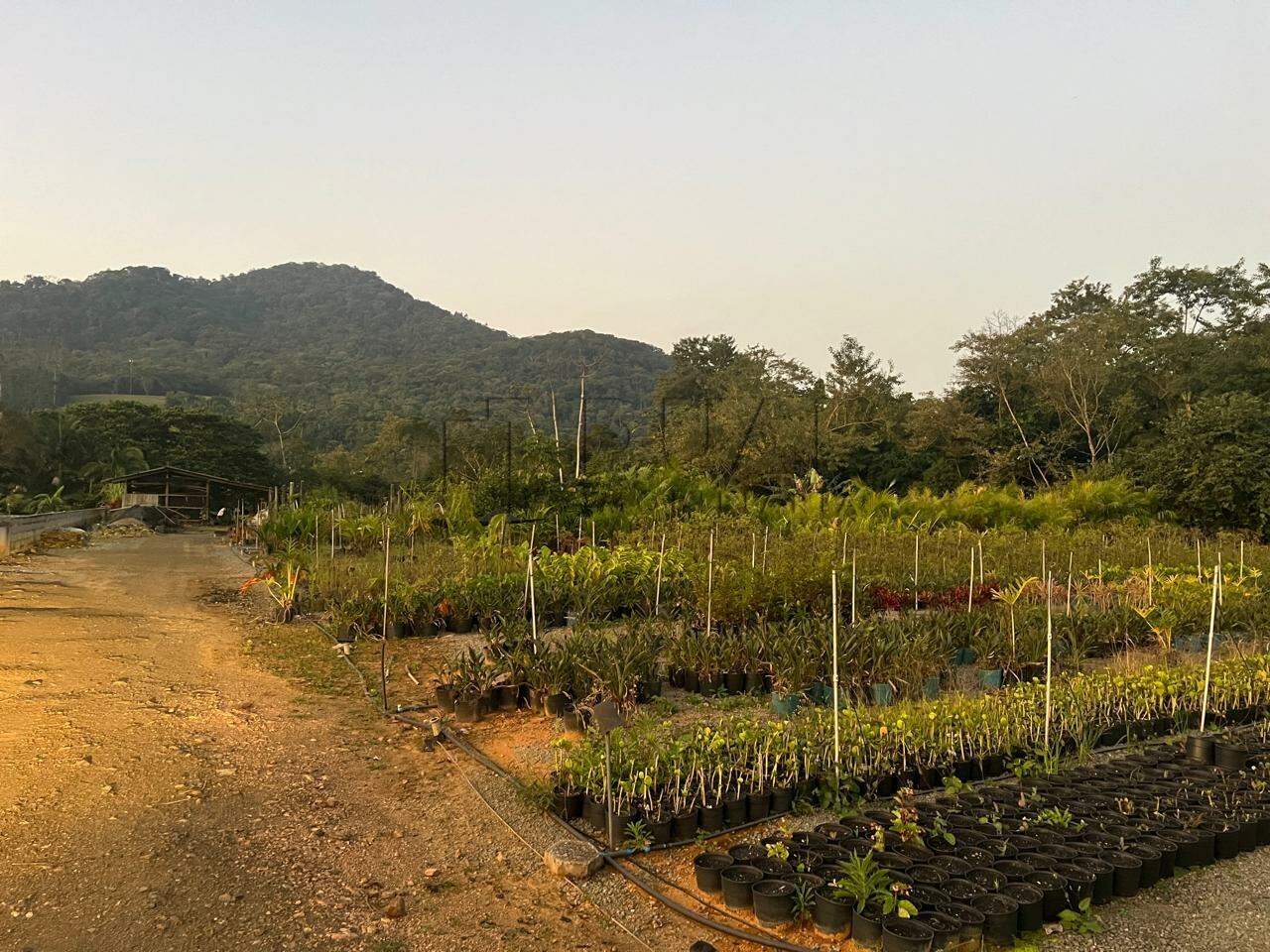 Imagem Terreno / Lote à venda, João Pessoa - Jaraguá do Sul/SC