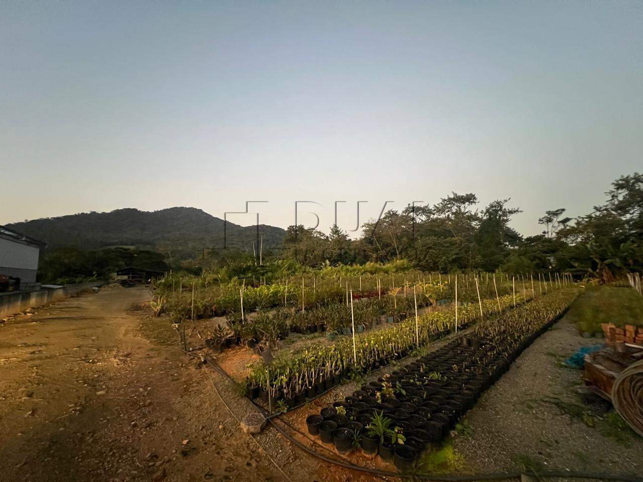 Imagem Terreno / Lote à venda, João Pessoa - Jaraguá do Sul/SC