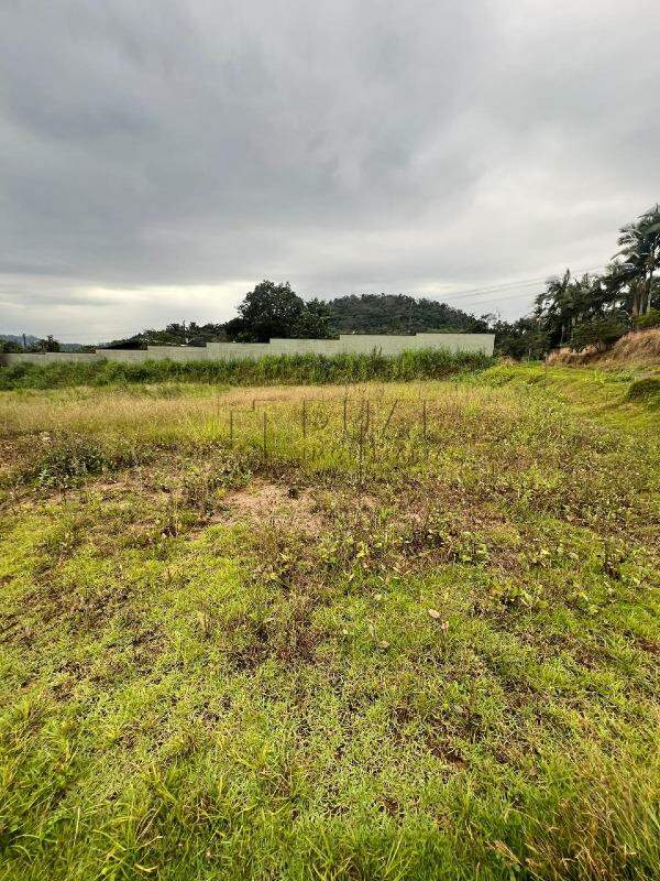Imagem Terreno Plano à Venda no Bairro Jaraguá 84 – Loteamento Residencial, Asfaltado e Livre de Enchentes!