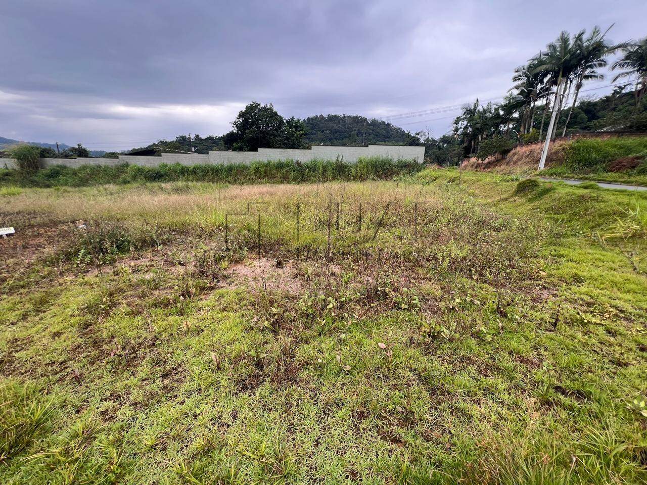 Terreno Plano à Venda no Bairro Jaraguá 84 – Loteamento Residencial, Asfaltado e Livre de Enchentes!