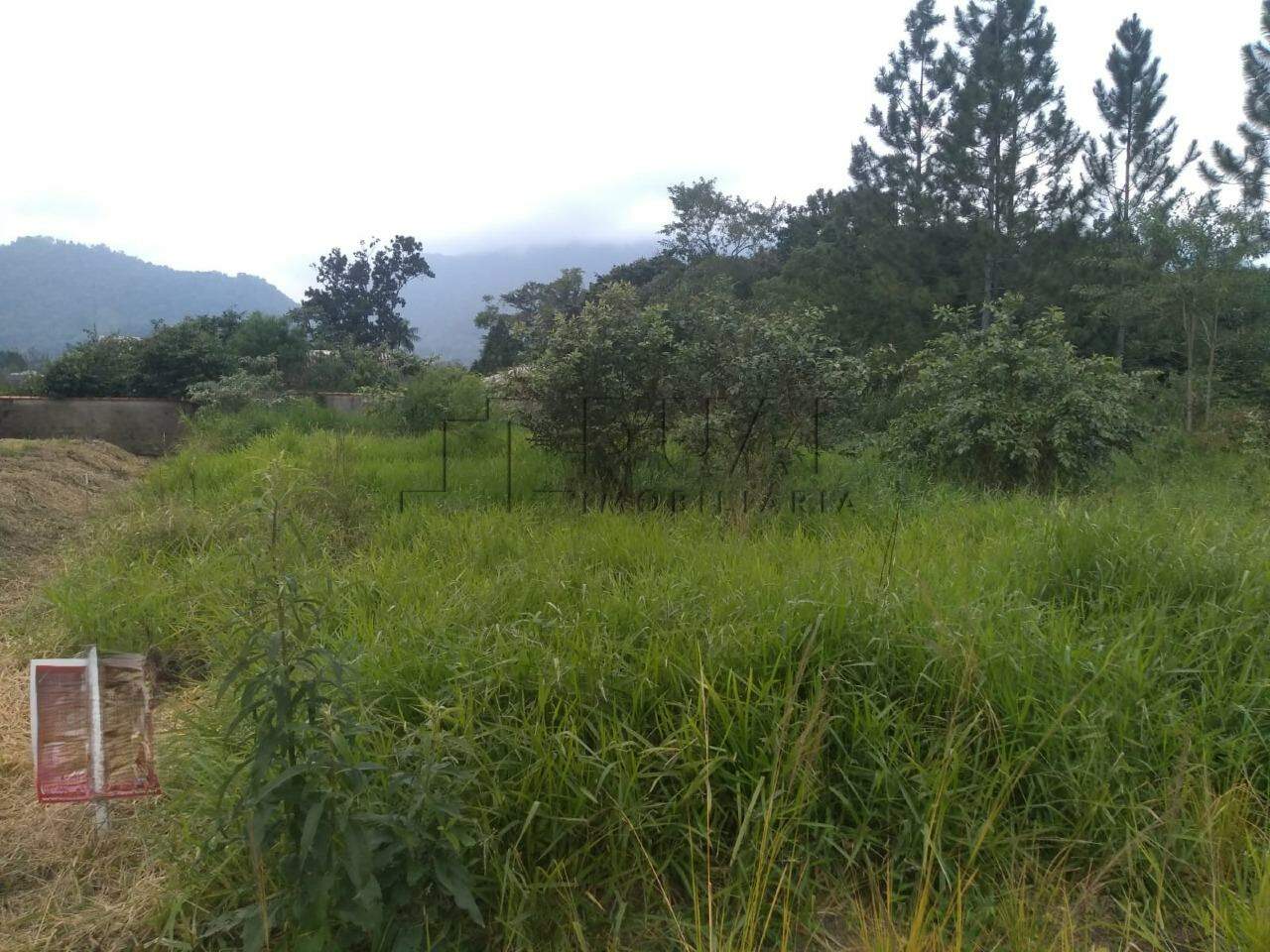 Imagem Terreno / Lote à venda, Rio Cerro II - Jaraguá do Sul/SC