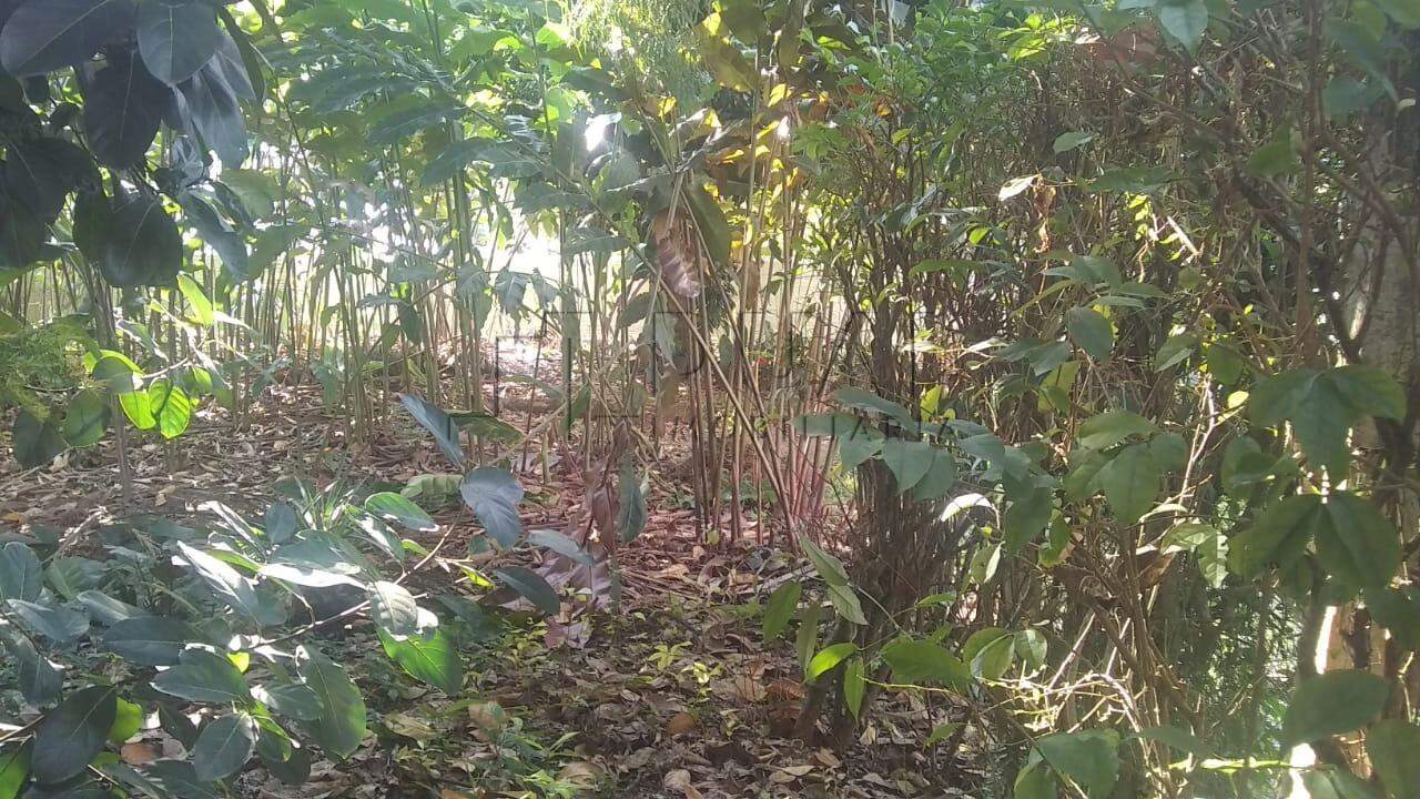 Imagem 2 terrenos em rua sem saída próximo ao Centro em Jaraguá do Sul com 816,08m² juntos