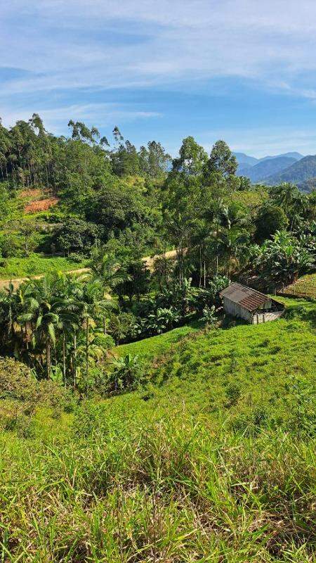 Imagem Terreno / Lote à venda, Três Rios do Norte - Jaraguá do Sul/SC