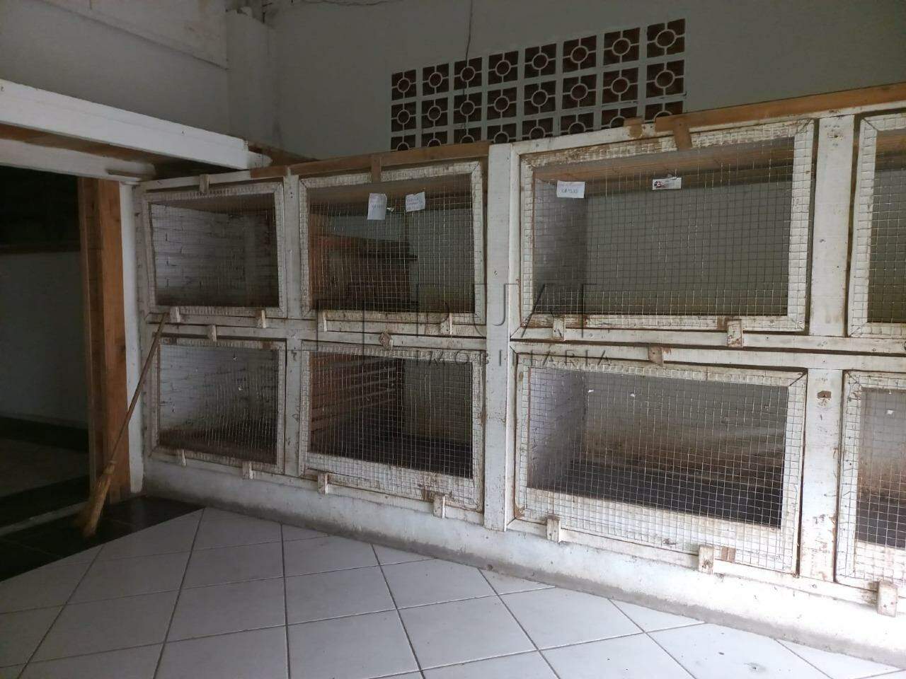 Imagem Sala Comercial à venda, 1 quarto, Barra do Rio Cerro - Jaraguá do Sul/SC