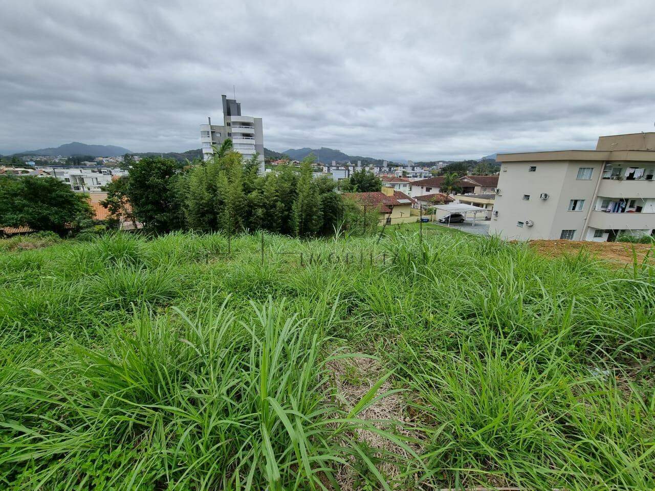 Imagem Terreno em localização privilegiada com 325,54m² no bairro Amizade