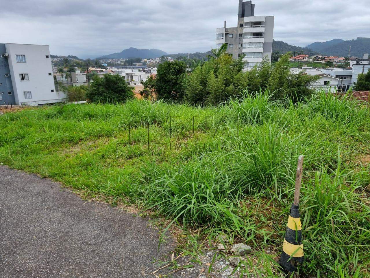 Imagem Terreno em localização privilegiada com 325,54m² no bairro Amizade
