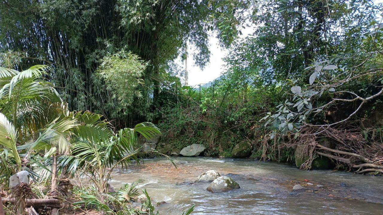 Imagem  Terreno com 11.750 m² no bairro Testo Alto em Pomerode