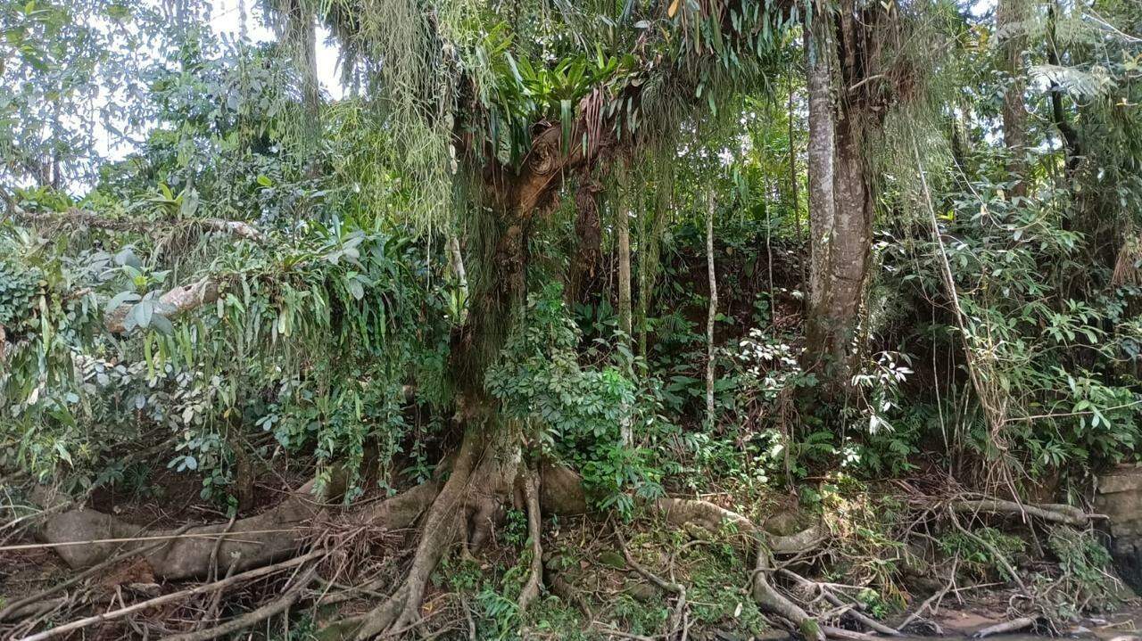 Imagem  Terreno com 11.750 m² no bairro Testo Alto em Pomerode