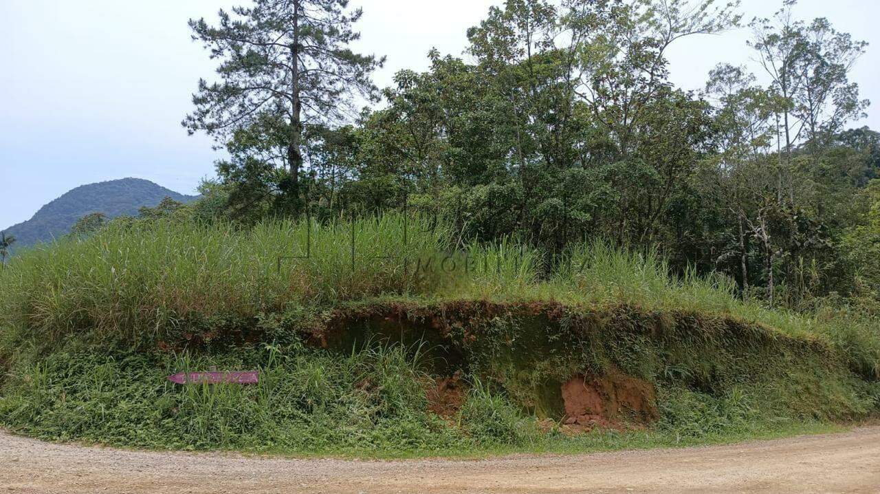 Imagem  Terreno com 11.750 m² no bairro Testo Alto em Pomerode