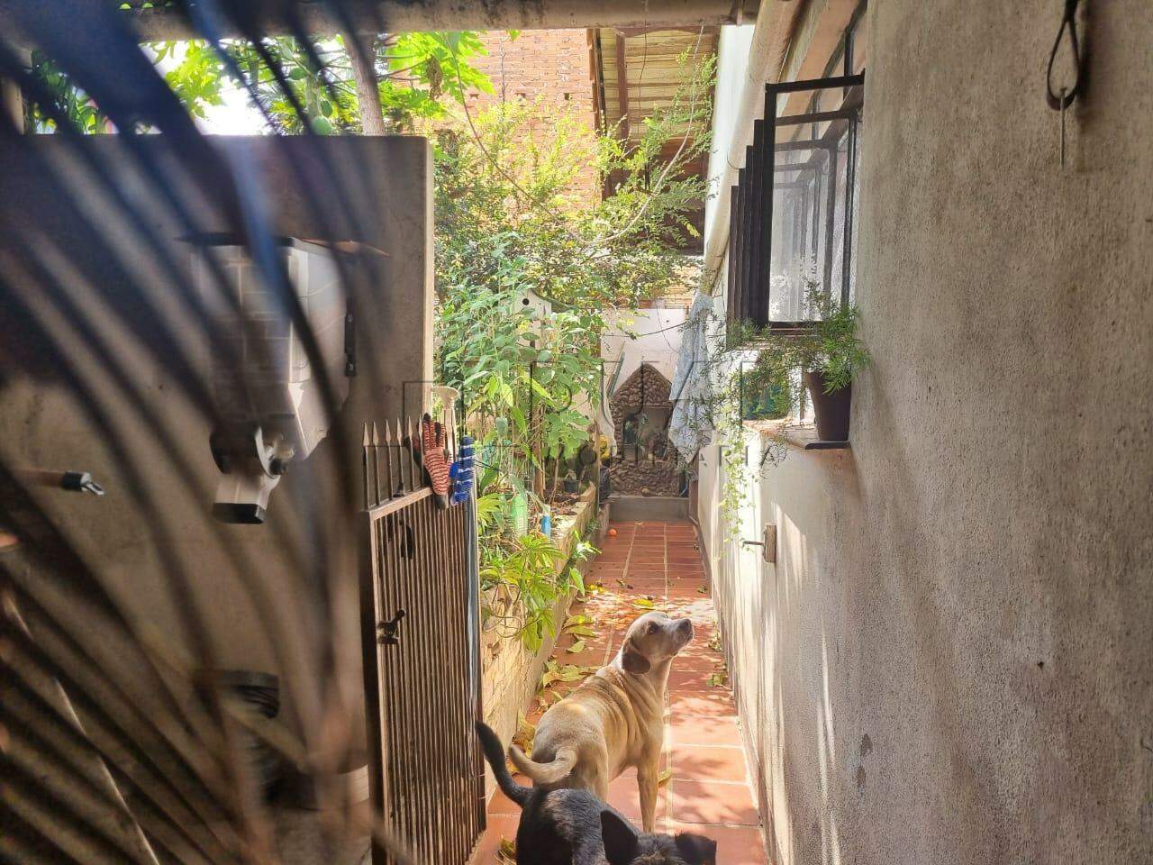 Imagem Casa com 137,86m² e terreno com 498m² à venda no bairro Vila Nova em Jaraguá do Sul