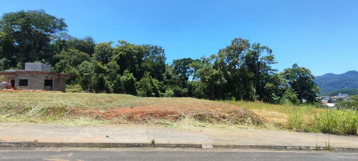 Imagem Terreno / Lote à venda, Tifa Martins - Jaraguá do Sul/SC