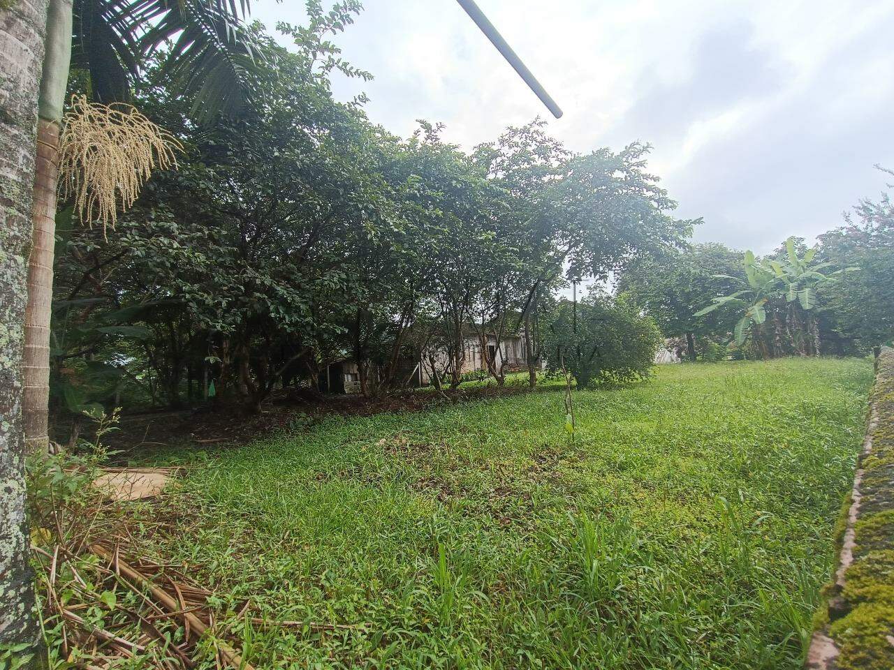 Imagem Terreno / Lote à venda, Vila Lenzi - Jaraguá do Sul/SC