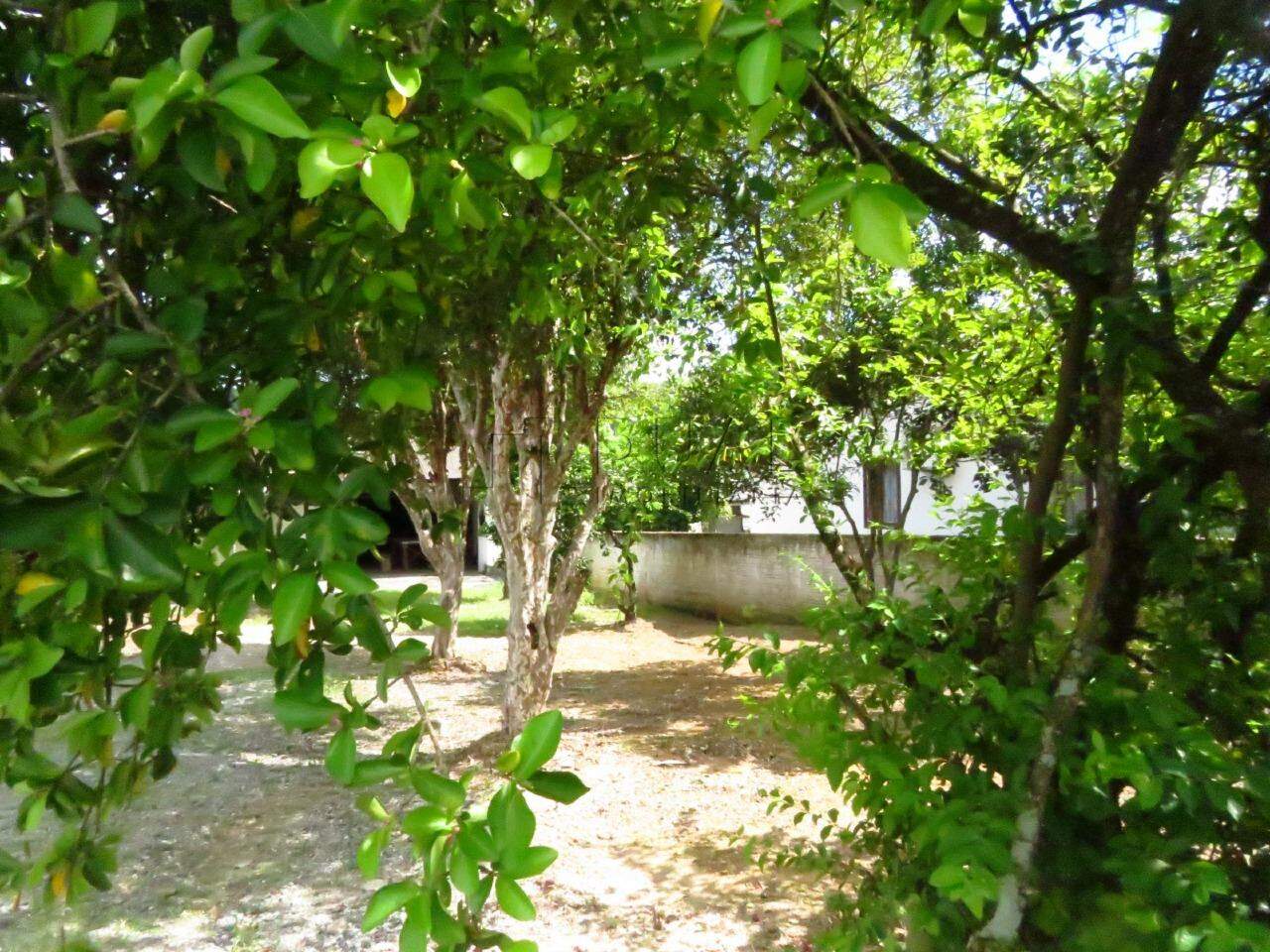 Imagem Terreno / Lote à venda, Vila Lenzi - Jaraguá do Sul/SC