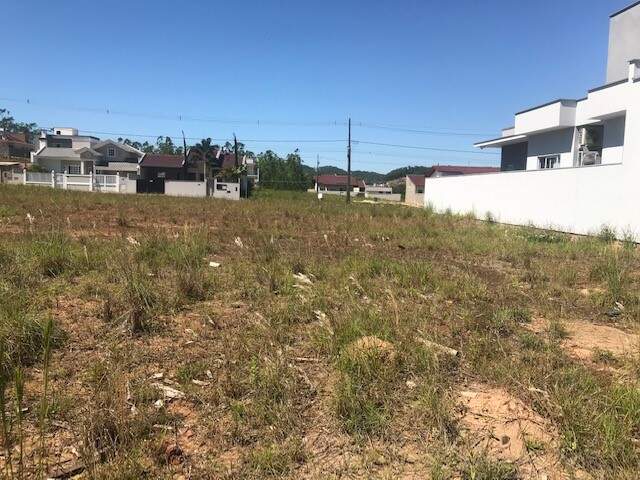 Imagem Terrenos à Venda em Belíssimo Loteamento em Jaraguá do Sul