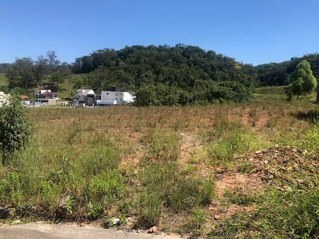 Imagem Terrenos à Venda em Belíssimo Loteamento em Jaraguá do Sul