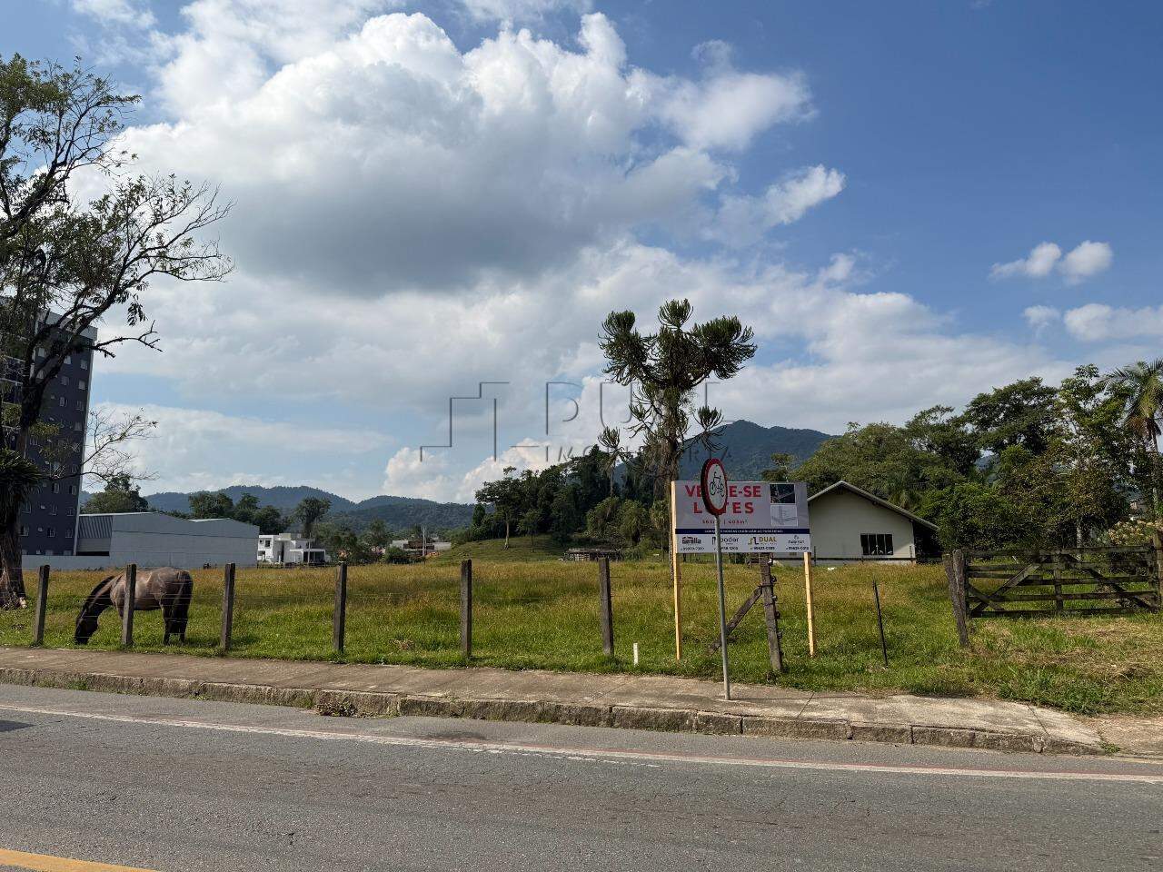 Terreno à Venda em Região Nobre do Rau – Ideal para Residência ou Comércio!