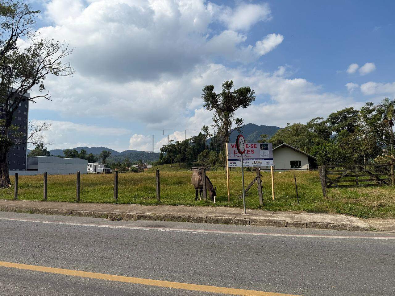 Imagem Terreno à Venda em Região Nobre do Rau – Ideal para Residência ou Comércio!