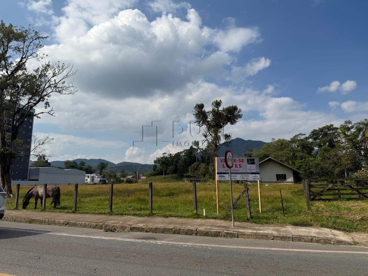 Imagem Terreno à Venda em Região Nobre do Rau – Ideal para Residência ou Comércio!