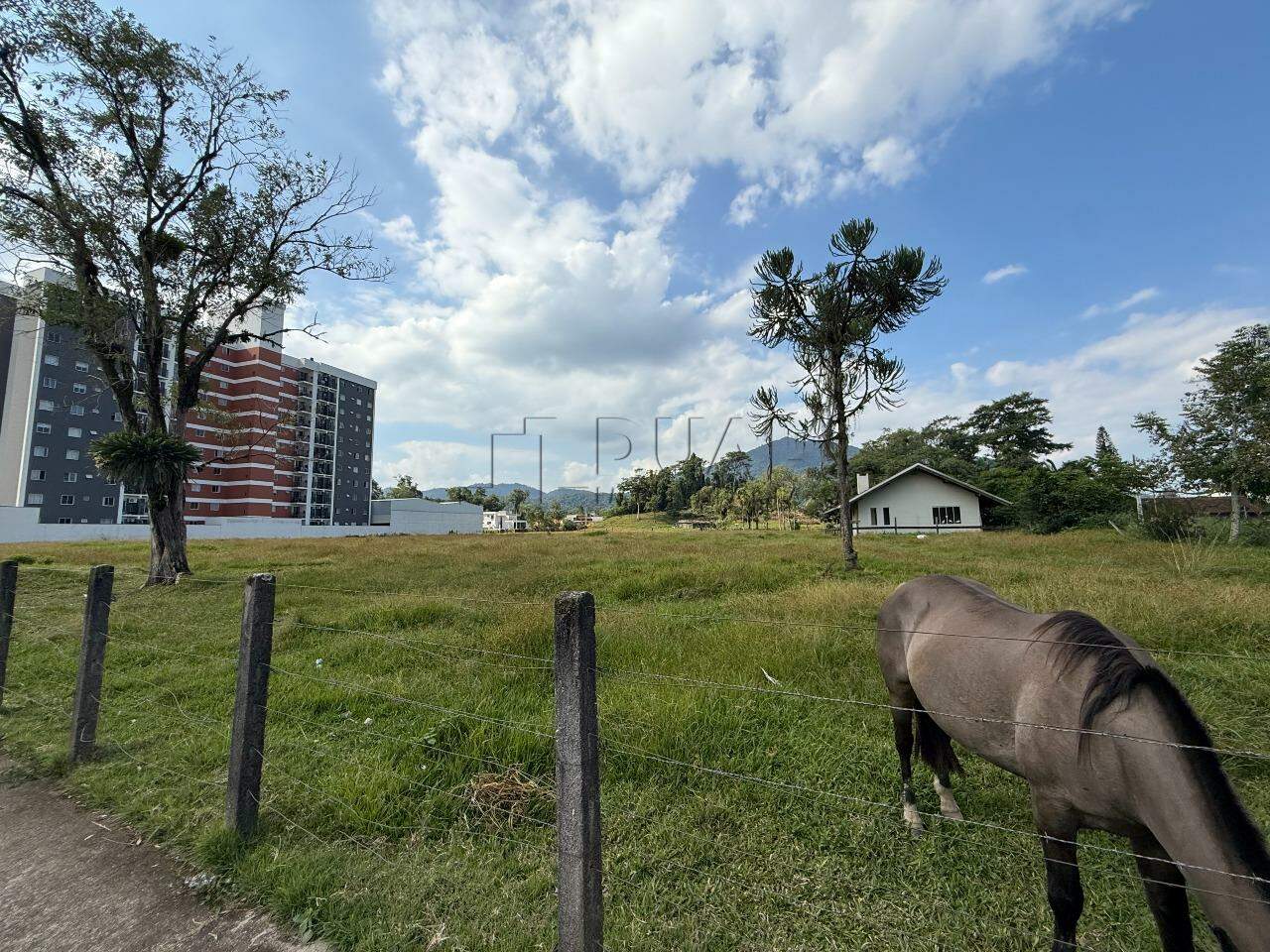 Imagem Terreno à Venda em Região Nobre do Rau – Ideal para Residência ou Comércio!