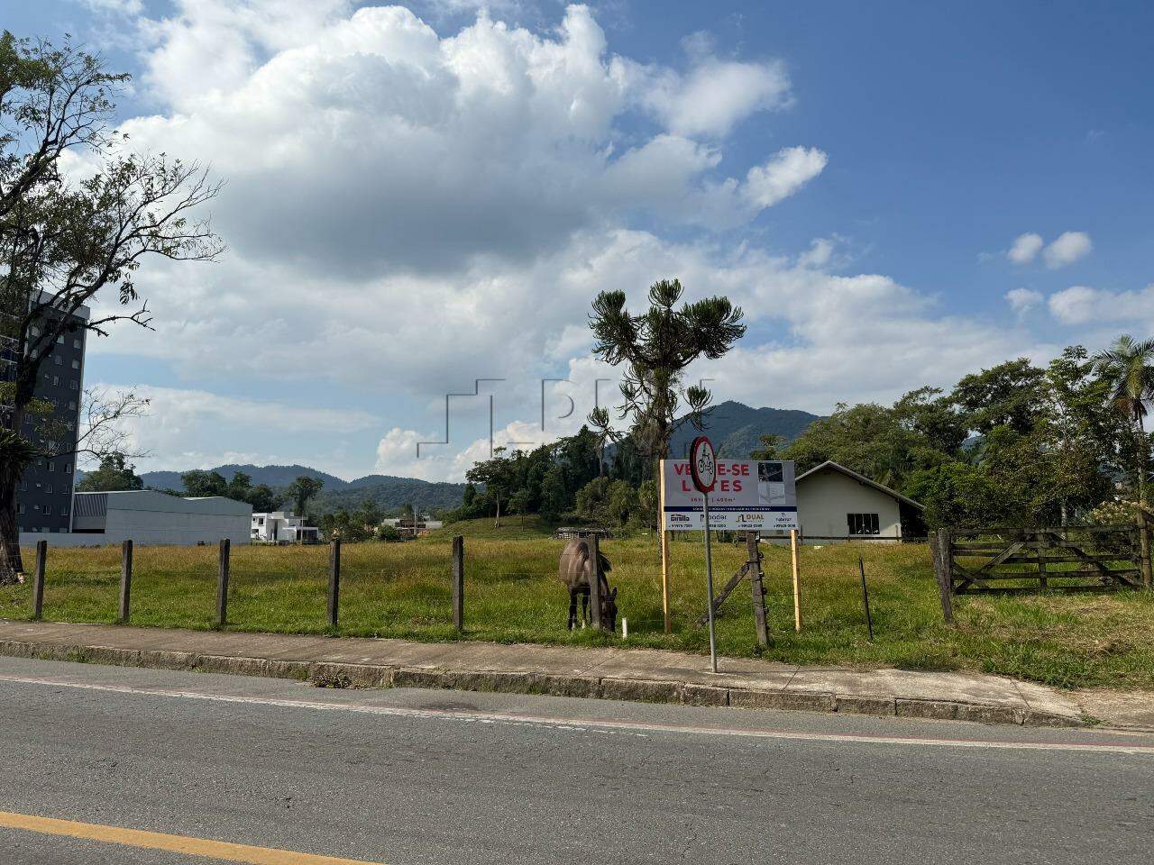 Imagem Terreno à Venda em Região Nobre do Rau – Ideal para Residência ou Comércio!