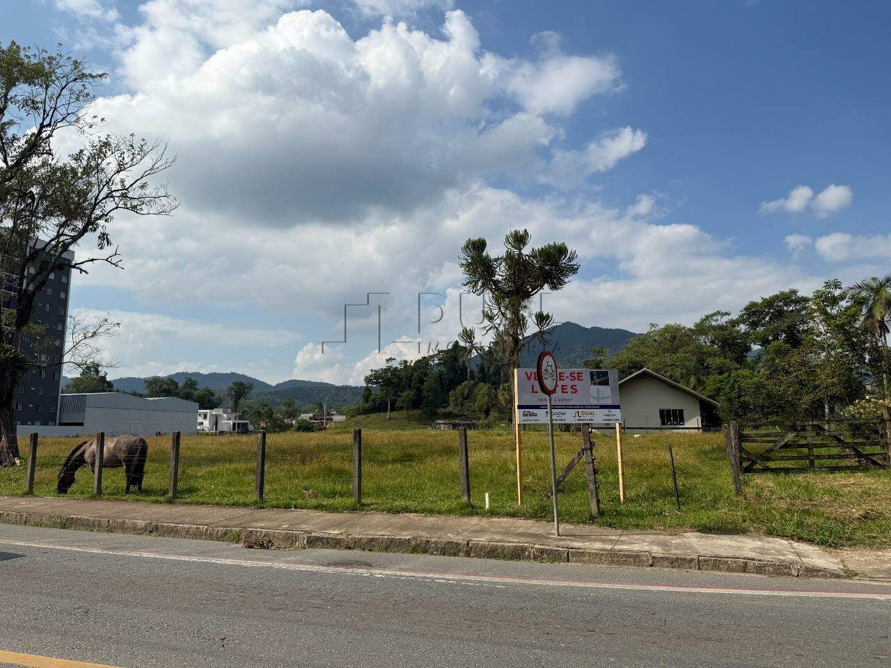 Terreno à Venda em Região Nobre do Rau – Ideal para Residência ou Comércio!