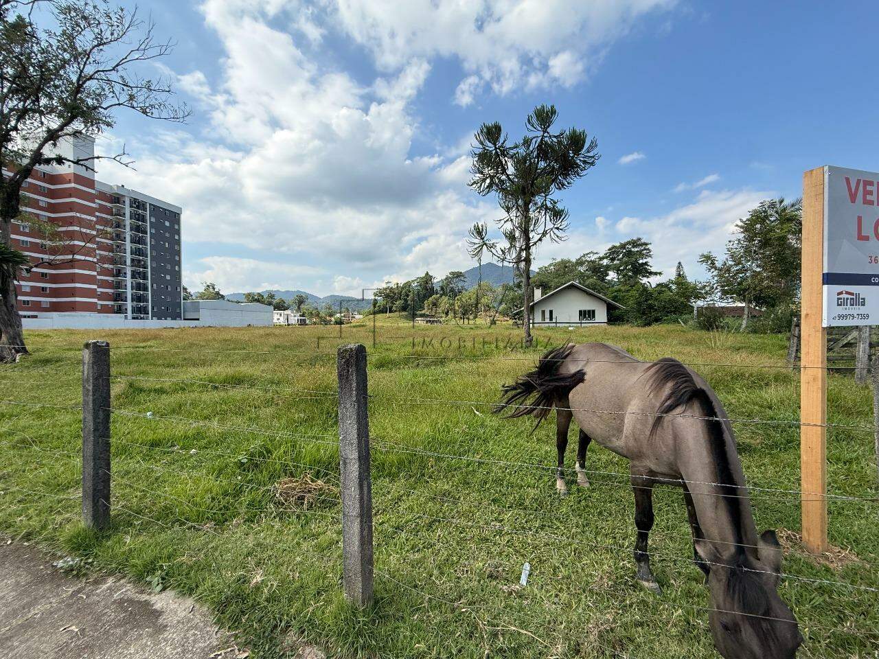 Imagem Terreno à Venda em Região Nobre do Rau – Ideal para Residência ou Comércio!