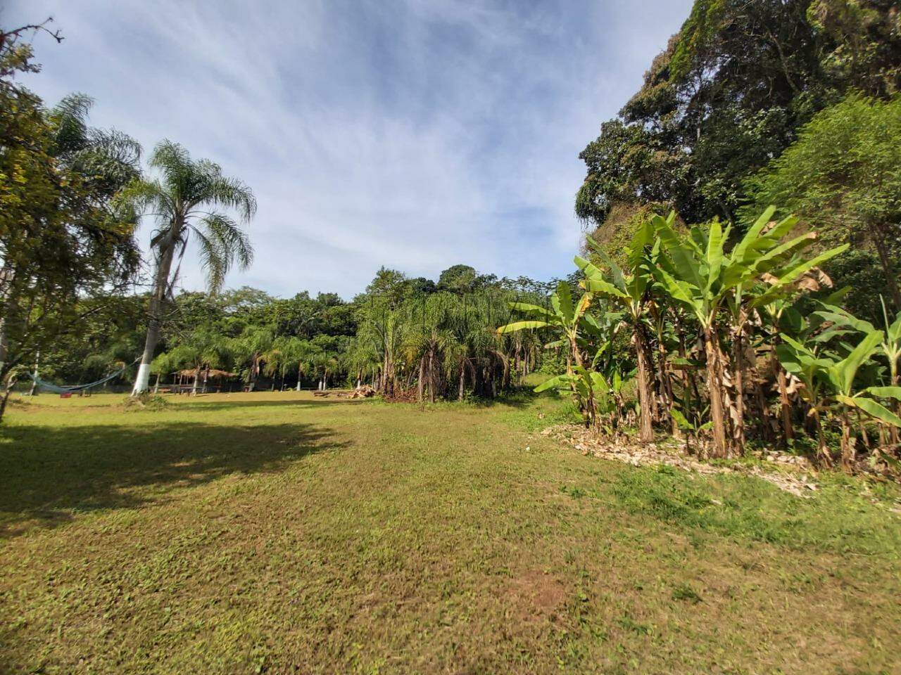 Imagem Chácara / Sítio à venda, 2 quartos, Nereu Ramos - Jaraguá do Sul/SC