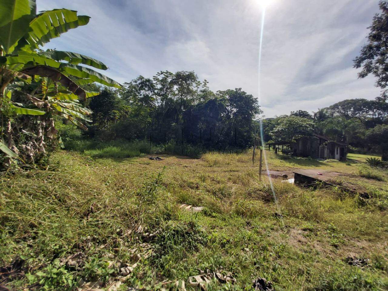 Imagem Chácara / Sítio à venda, 2 quartos, Nereu Ramos - Jaraguá do Sul/SC