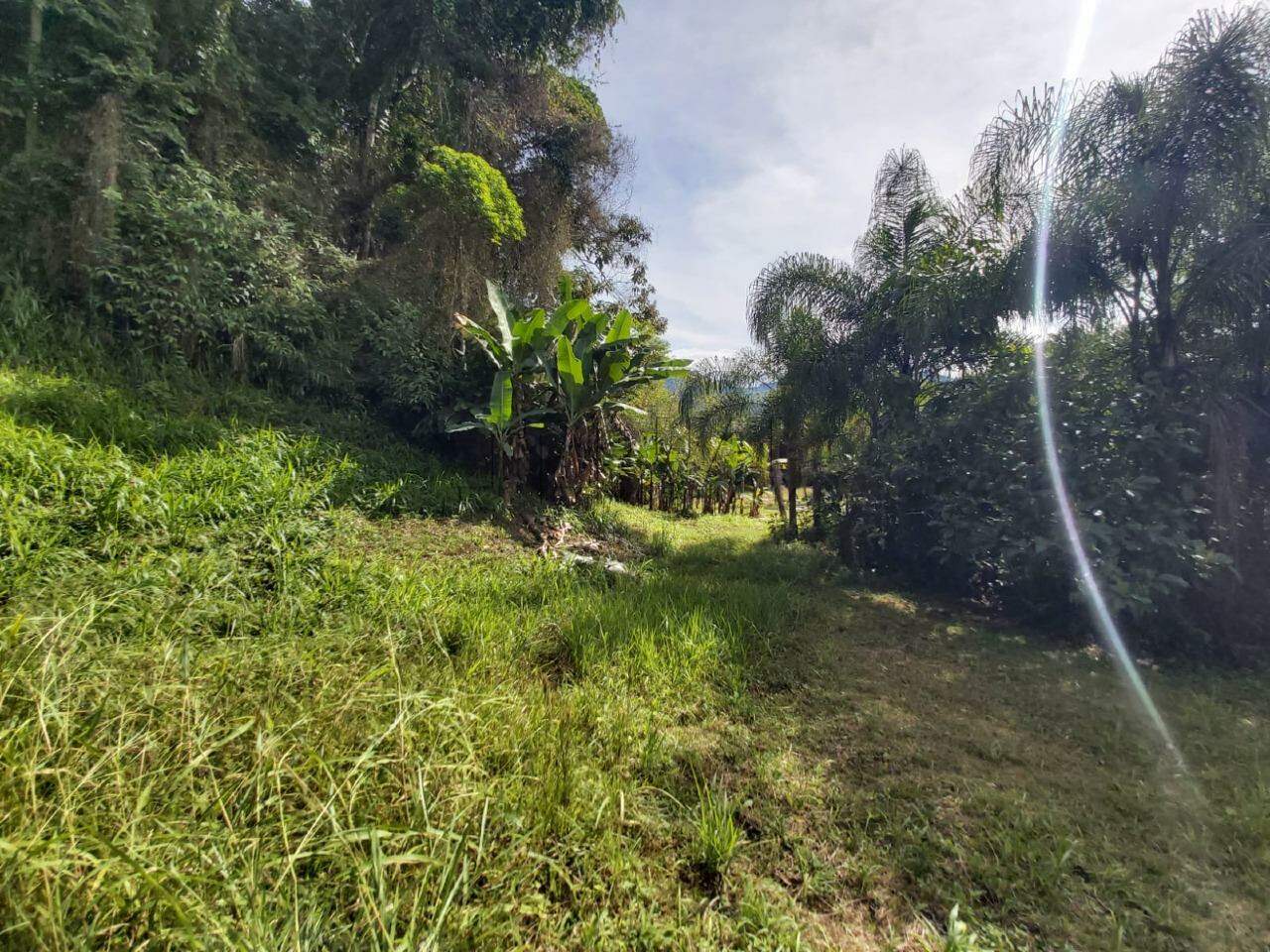 Imagem Chácara / Sítio à venda, 2 quartos, Nereu Ramos - Jaraguá do Sul/SC