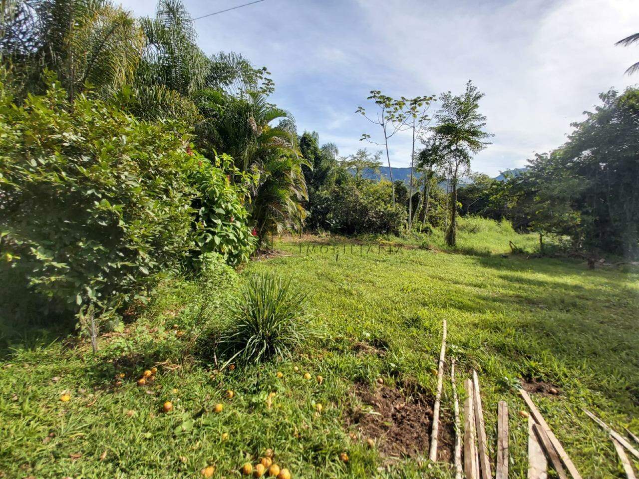 Imagem Chácara / Sítio à venda, 2 quartos, Nereu Ramos - Jaraguá do Sul/SC