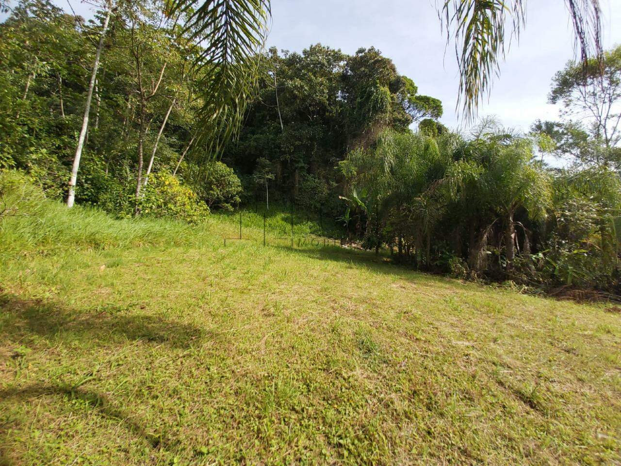 Imagem Chácara / Sítio à venda, 2 quartos, Nereu Ramos - Jaraguá do Sul/SC
