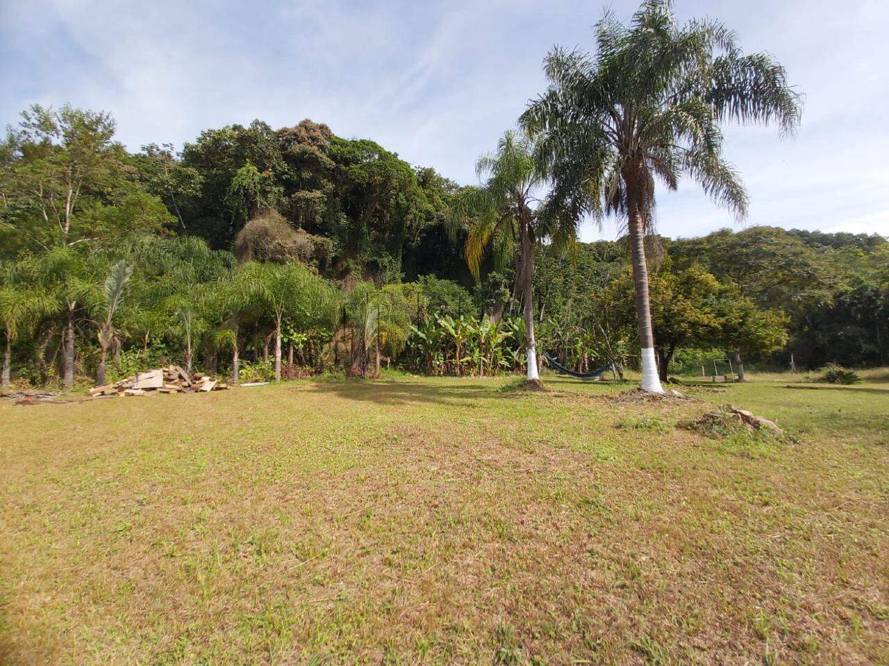 Imagem Chácara / Sítio à venda, 2 quartos, Nereu Ramos - Jaraguá do Sul/SC