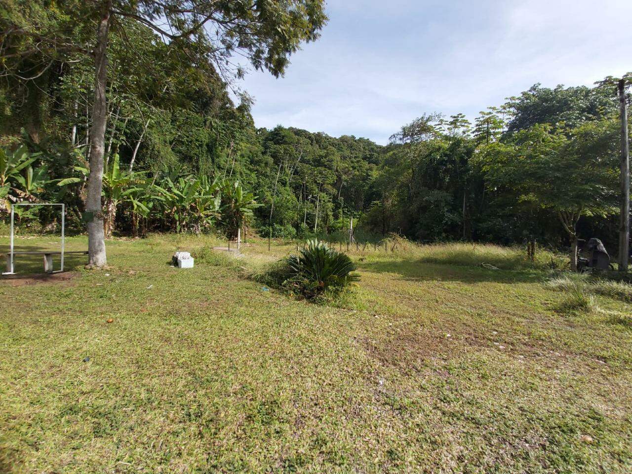 Imagem Chácara / Sítio à venda, 2 quartos, Nereu Ramos - Jaraguá do Sul/SC