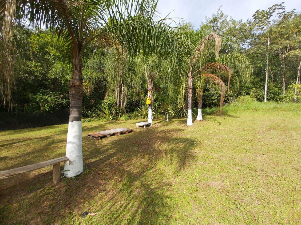 Imagem Chácara / Sítio à venda, 2 quartos, Nereu Ramos - Jaraguá do Sul/SC