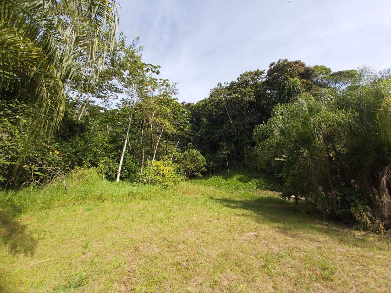Imagem Chácara / Sítio à venda, 2 quartos, Nereu Ramos - Jaraguá do Sul/SC